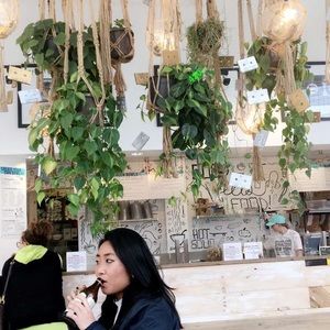 Meet your Posher, Shelley